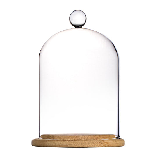 Glass Bell Jar - Enchanted Woods