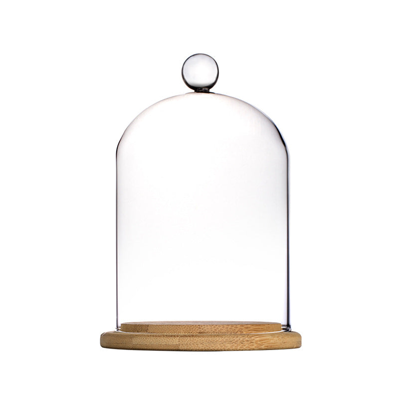 Glass Bell Jar - Enchanted Woods